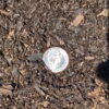 A single shiny silver coin, a dime, rests in the center of a patch of dark brown, shredded wood mulch. The mulch is a mix of small and medium-sized pieces. The coin has a noticeable glint from a light source, and its date, "2023," is clearly visible.