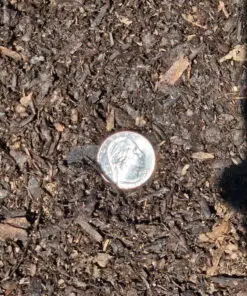 A single shiny silver coin, a dime, rests in the center of a patch of dark brown, shredded wood mulch. The mulch is a mix of small and medium-sized pieces. The coin has a noticeable glint from a light source, and its date, "2023," is clearly visible.
